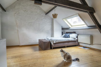 Patrimony company for sale Ghent (Gent)