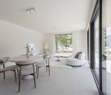 Daniël & Zozima à vendre à Waregem