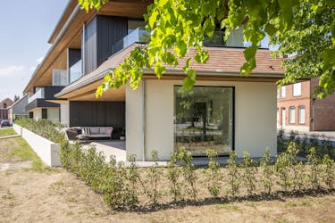 Daniël & Zozima à vendre à Waregem