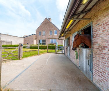 Villa met weide, stallen, piste en werkruimte op 8.595 m²