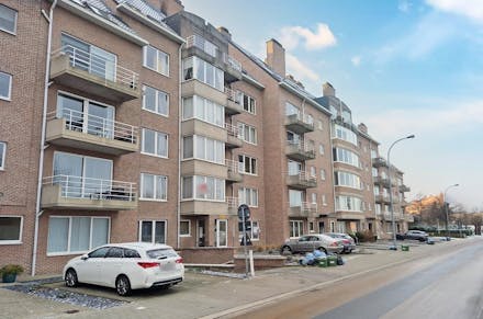Apartment for rent Hasselt