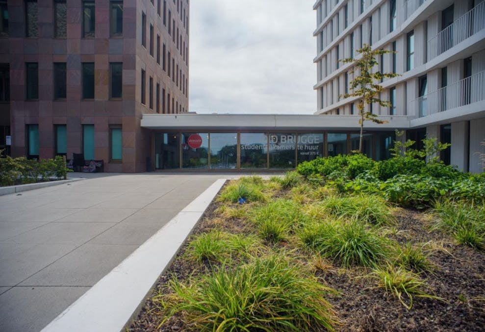 Studentenkamer te koop aan het station van Brugge