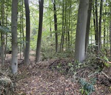 Bouwgrond voor open bebouwing te Koop te Heide-Kalmthout!