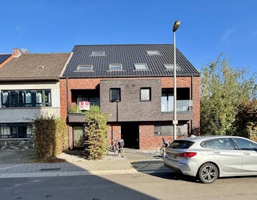 Triplex te huur Hasselt