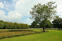 Vakantiehoeve  met twee vakantieverblijven te Beernem