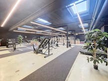 Handelsgelijkvloers van +- 559m² te Deurne