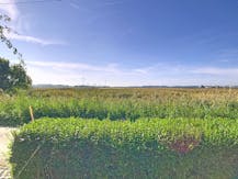 Rustig gelegen huis of vakantiewoning in groene omgeving