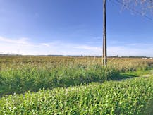 Rustig gelegen huis of vakantiewoning in groene omgeving