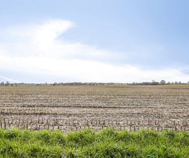 Rustig wonen in een landelijke omgeving nabij Deinze