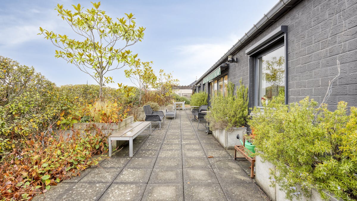 Bright penthouse with south-facing terrace of 100m²