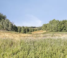Bouwgrond met prachtig uitzicht te koop in Ellezelles