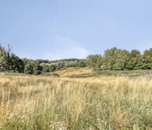 Bouwgrond met prachtig uitzicht te koop in Ellezelles