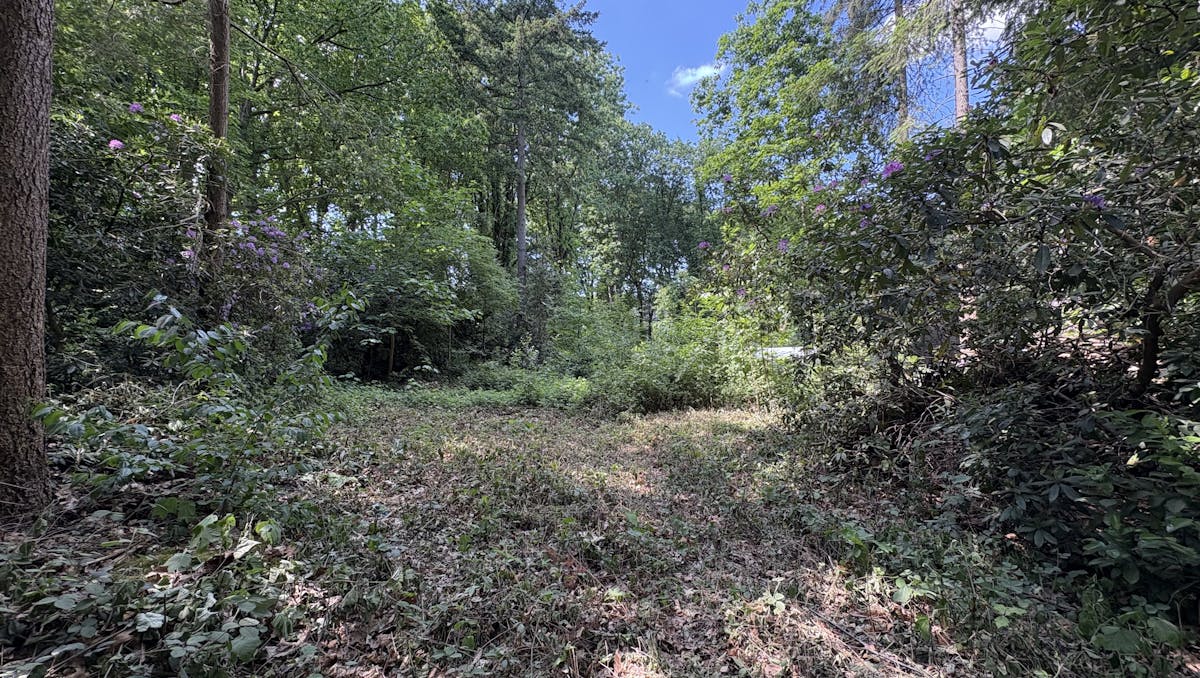 Zeer mooi gelegen bouwperceel van 1.769m² te Essen-Wildert!