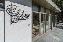 Villa "Polytone" met zicht op de duinen in Oostduinkerke