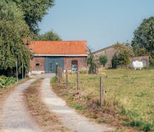 Hoeve te koop met bijgebouw (ca.70m²) op 2 hectare grond in Beselare