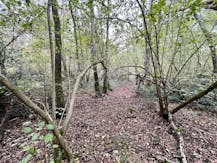 Perceel bosgrond te koop in Zoerselbos