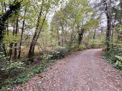 Grond te koop Zoersel