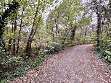 Perceel bosgrond te koop in Zoerselbos