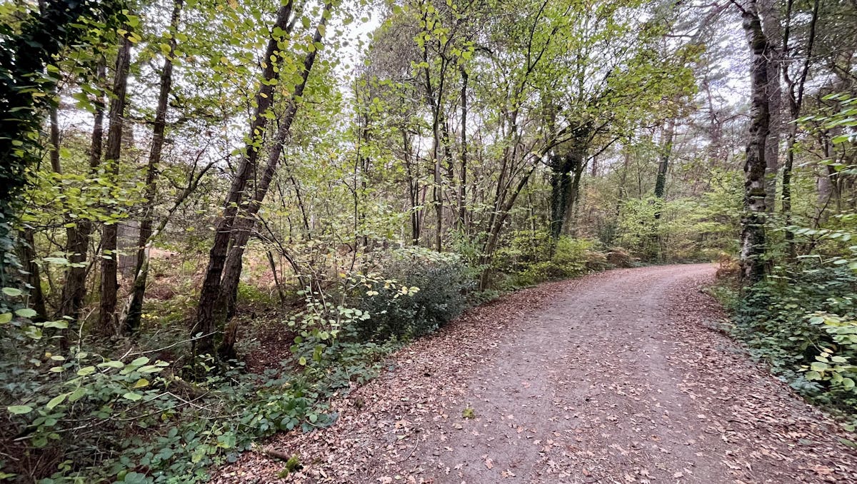 Perceel bosgrond te koop in Zoerselbos