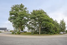 Patrimoniumvennootschap met drie bedrijfshallen en penthouse