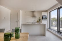 INSTAPKLAAR BEN-APPARTEMENT MET 2 SLAAPK. IN BAZEL EN TERRAS