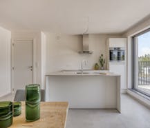 INSTAPKLAAR BEN-APPARTEMENT MET 2 SLAAPK. IN BAZEL EN TERRAS