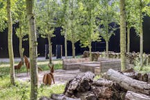 Nieuwbouwmagazijn van ca. 144 m² met kantoor in Wevelgem