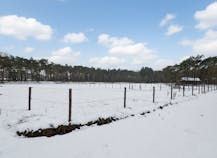 woning met paardenstallen en weiland te huur in Herentals