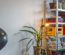Te koop: gerenoveerd appartement op Sint-Elisabeth te Kortrijk