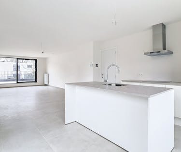 INSTAPKLAAR BEN-APPARTEMENT IN BAZEL MET 3 SLAAPK. + TERRAS