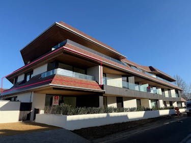 Daniël & Zozima à vendre à Waregem