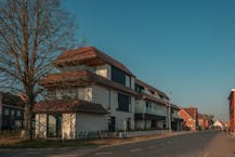 Daniël & Zozima à vendre à Waregem