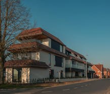 Daniël & Zozima à vendre à Waregem