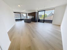 Daniël & Zozima à vendre à Waregem