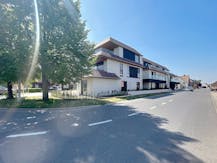 Daniël & Zozima à vendre à Waregem