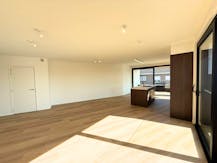 Daniël & Zozima à vendre à Waregem