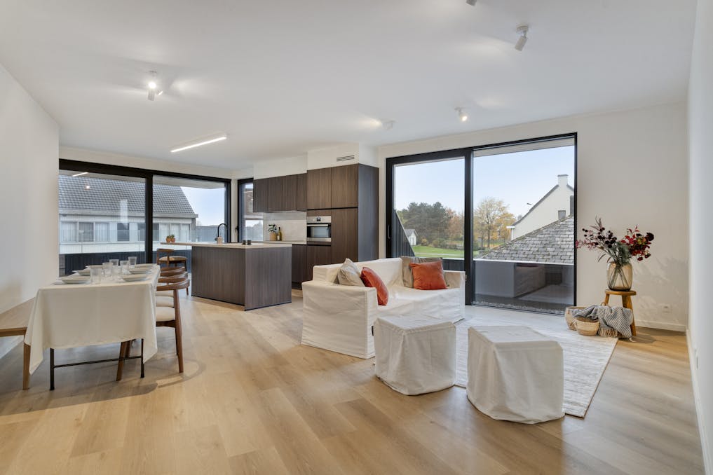 Daniël & Zozima à vendre à Waregem