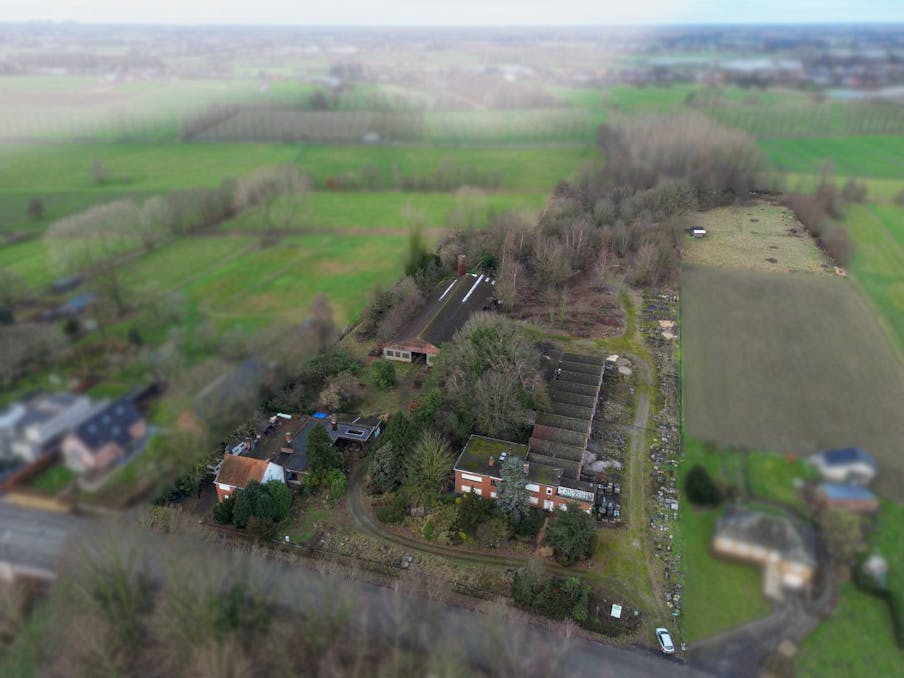 Bedrijfssite (30.296 m²) te koop in Lokeren