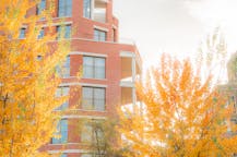 Tour & Taxis Park Lane Scarlet 1.1