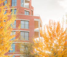 Tour & Taxis Park Lane Scarlet 1.1