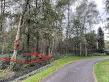 Bouwgrond voor open bebouwing op +/- 1034m² te Kapellen