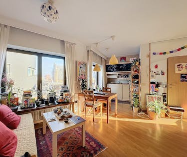Gezellige studio met aparte slaapkamer te huur in Antwerpen