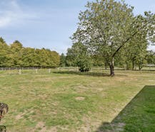 Idyllische hoeve met twee afzonderlijke vakantieverblijven te Beernem