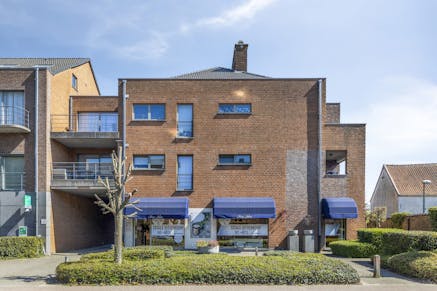 Handelspand te koop Grimbergen