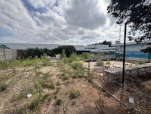 Renovatiepand te koop in Aalbeke