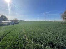 Perceel grond van 40a 90ca