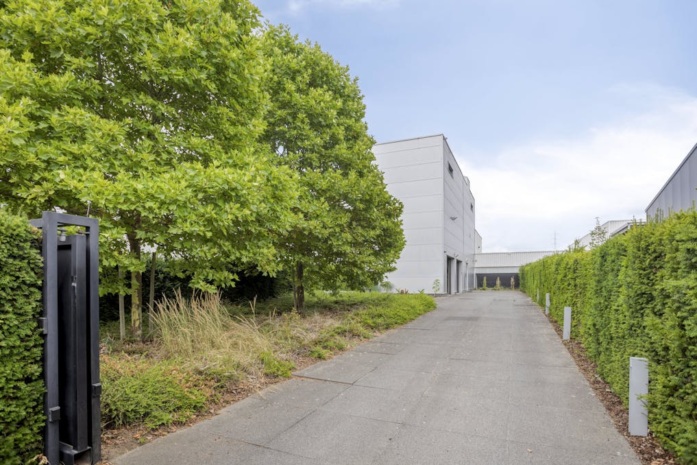 Patrimoniumvennootschap met drie bedrijfshallen en penthouse