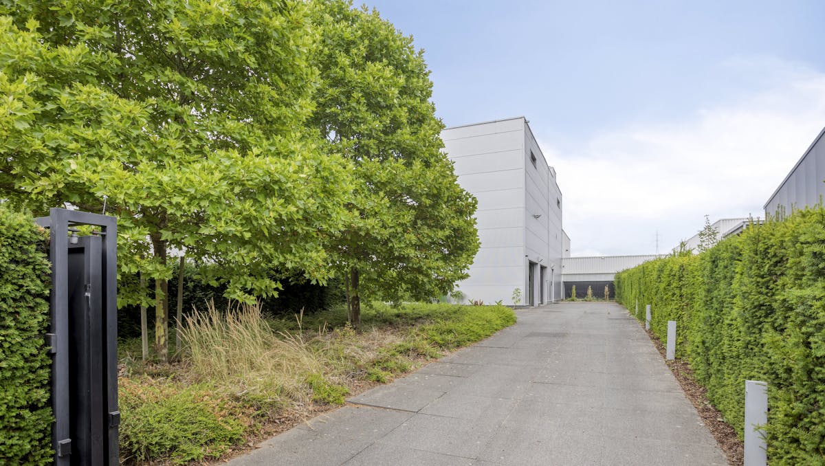 Patrimoniumvennootschap met drie bedrijfshallen en penthouse