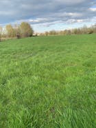 Landbouwgrond te koop in Knesselare