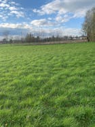 Landbouwgrond te koop in Knesselare